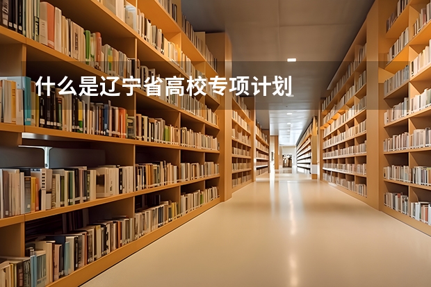 什么是辽宁省高校专项计划
