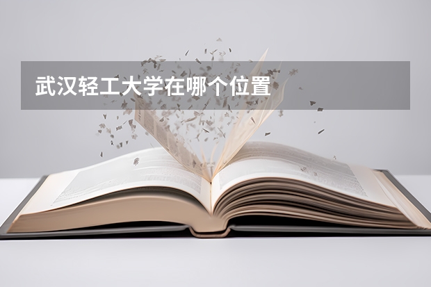 武汉轻工大学在哪个位置