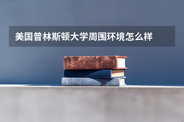 美国普林斯顿大学周围环境怎么样