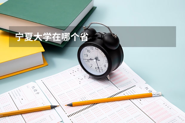 宁夏大学在哪个省