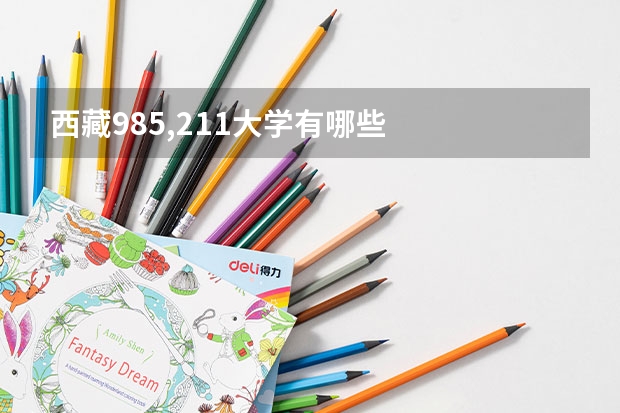 西藏985,211大学有哪些