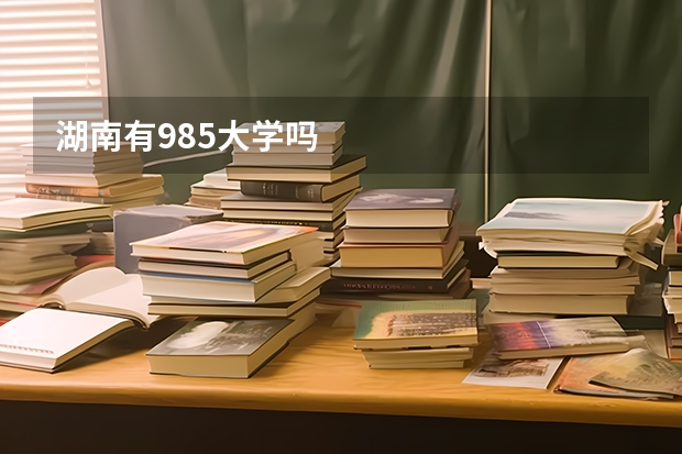 湖南有985大学吗