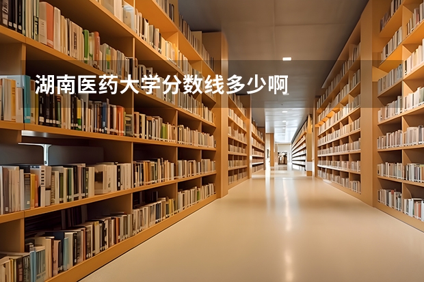 湖南医药大学分数线多少啊