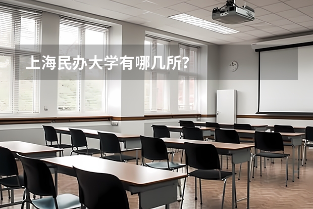 上海民办大学有哪几所？