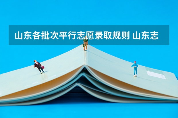 山东各批次平行志愿录取规则 山东志愿填报规则