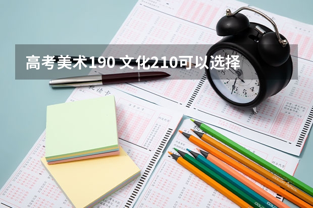高考美术190 文化210可以选择什么学校好啊?江苏省内的
