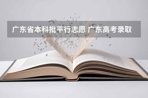 广东省本科批平行志愿 广东高考录取规则