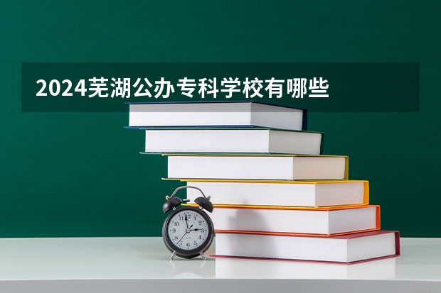 2024芜湖公办专科学校有哪些