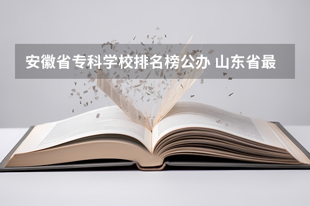 安徽省专科学校排名榜公办 山东省最好的专科学校排名公办
