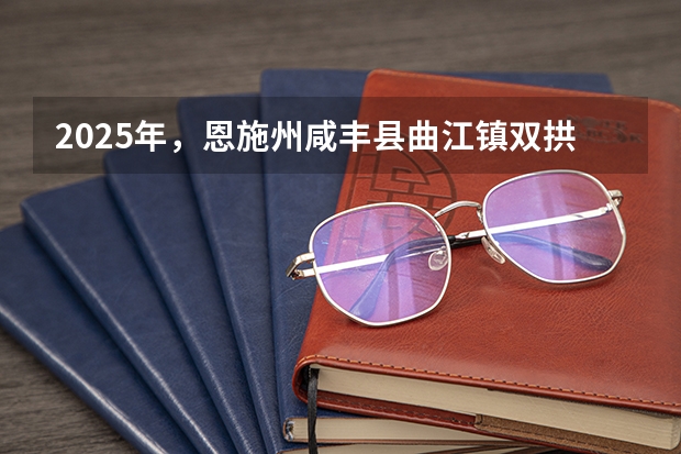 2025年，恩施州咸丰县曲江镇双拱桥村十丫口至忠堡界平村公路提档升级何时会进行招标？（2025年，恩施州咸丰县曲江镇双拱桥村十丫口至忠堡界平村公路提档升级工程会在几月份招标？）